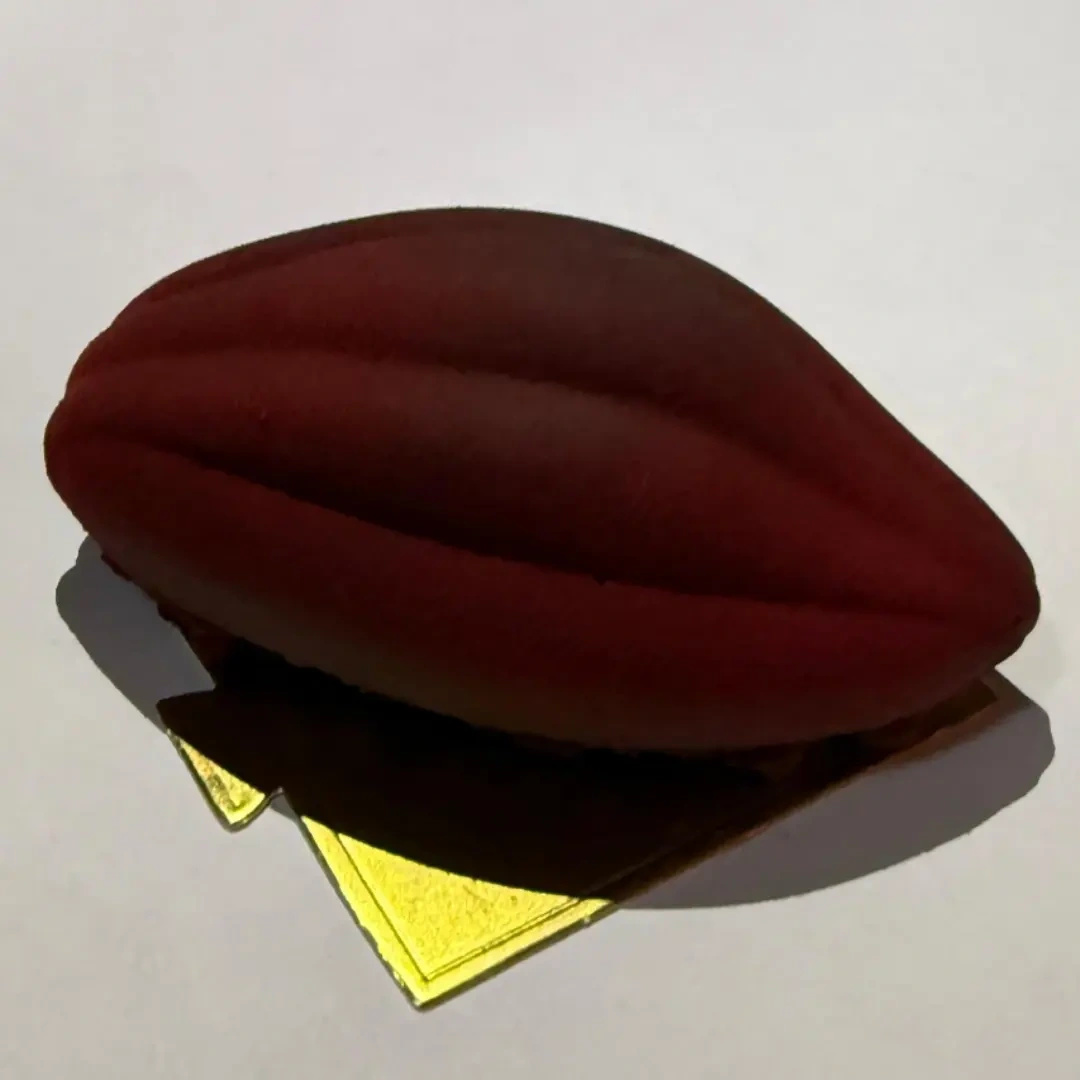 Cacao, plein cadre — Patisslim